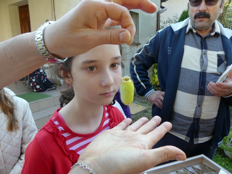 p1300067.jpg